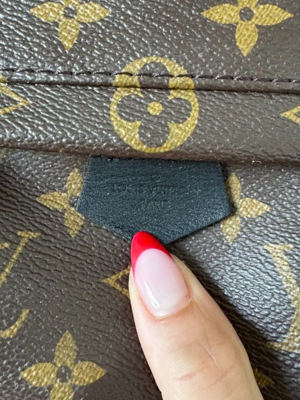 Louis Vuitton Palm Springs Mini Backpack